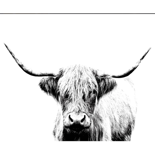 фото Björksta бьёркста ikea холст, шотландская корова