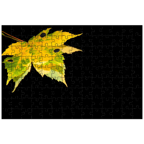 фото Магнитный пазл 27x18см."лезвие, осень, осенние листья" на холодильник lotsprints