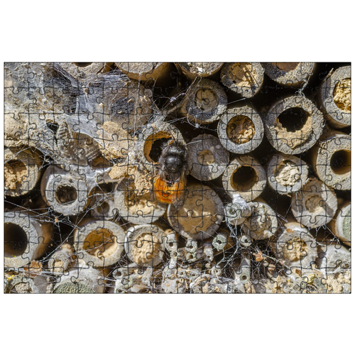 фото Магнитный пазл 27x18см."пчела, макрос, крыло" на холодильник lotsprints