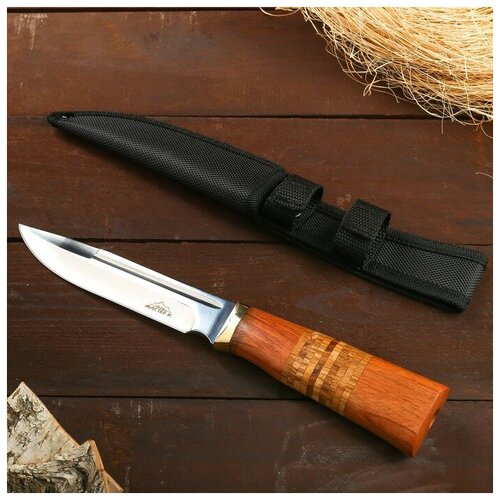 фото Нож охотничий мастер к, лезвие 12,5 см, в чехле, деревянная рукоять с пробковой вставкой mikimarket