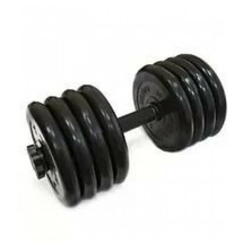 фото Mb barbell atlet разборные гантели 41.5 кг, d31 mm.(1шт)