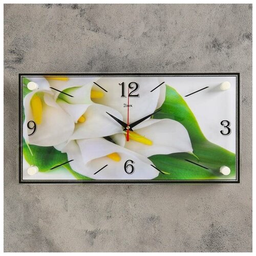 фото Часы настенные, серия: цветы, "белые каллы", 19х39 см рубин
