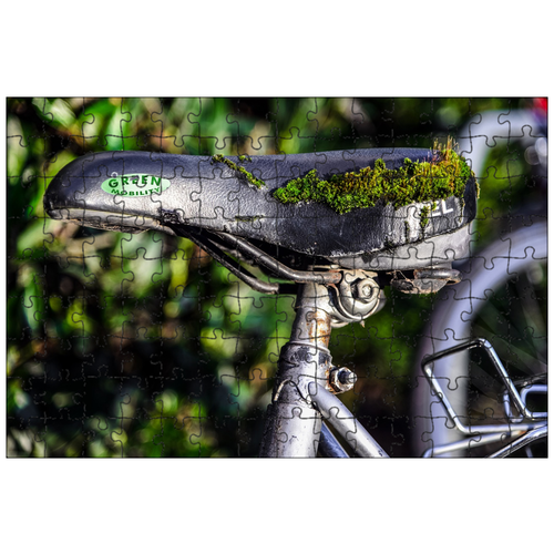 фото Магнитный пазл 27x18см."велосипед, мох, зеленый" на холодильник lotsprints