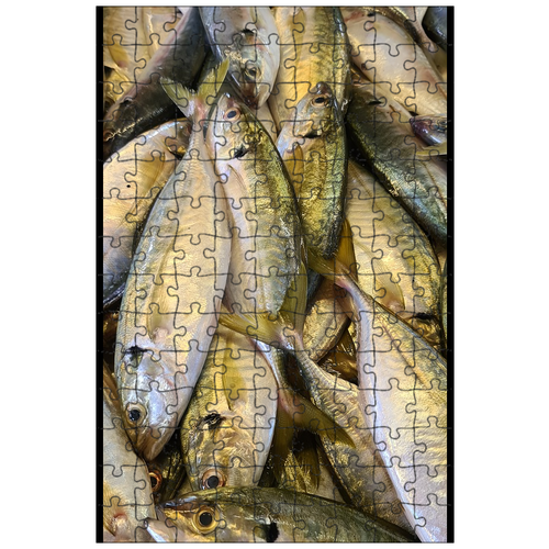 фото Магнитный пазл 27x18см."рыбы, плавники, весы" на холодильник lotsprints