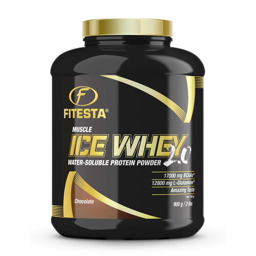 фото Концентрат и изолят сывороточного протеина fitesta muscle ice whey 2.0 шоколад 900гр.