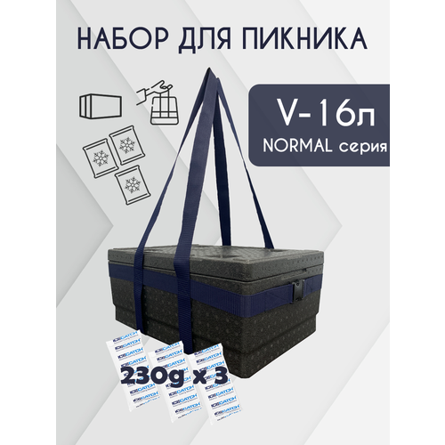 фото Набор для пикника / термоконтейнер 16 литров/ сумка-переноска / гелевые аккумуляторы холода 230 грамм - 3шт termobox.ru