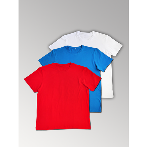 фото Комплект футболок (3 шт.) мужской однотонные, 100% хлопок rk shop