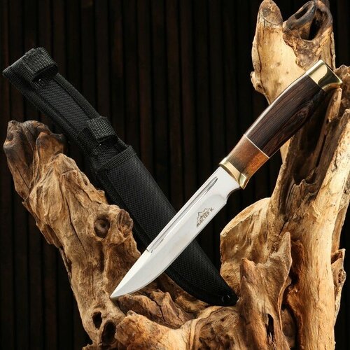 фото Нож охотничий "рагнар", рукоять дерево, с золотым кольцом, лезвие 15 см мастер к.