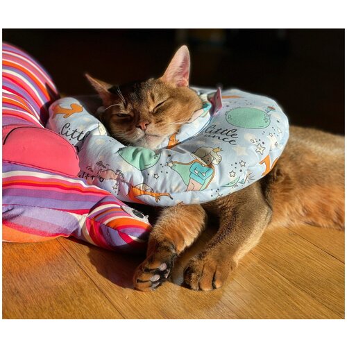фото Защитный мягкий воротник-подушка для кошек и собак от 4 кг до 7 кг, размер м, freddy's friends brand, маленький принц