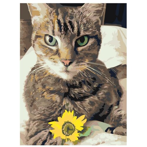 фото Картина по номерам, "живопись по номерам", 54 x 72, ets520-3040, котёнок, жёлтый, цветок, животное, домашний, питомец, пушистый, кровать
