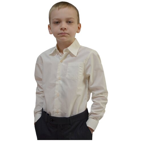 фото Школьная рубашка tugi, полуприлегающий силуэт, на пуговицах, длинный рукав, карманы, однотонная, размер 140, бежевый