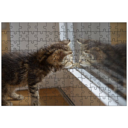 фото Магнитный пазл 27x18см."кот, зеркала, котенок" на холодильник lotsprints