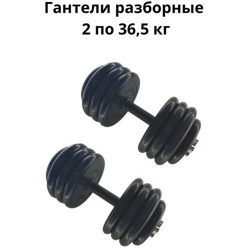 фото Гантели разборные 2 шт. по 36,5 кг mb barbell