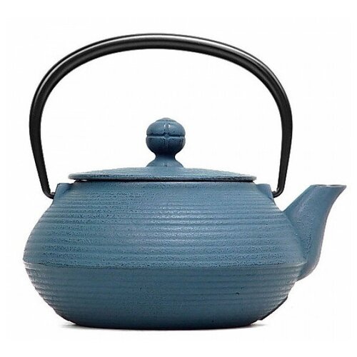 фото Iwachu чайник для чайной церемонии 12363, 320 мл, голубой