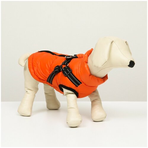 фото Куртка для собак со шлейкой, размер 14 (дс 32 см, ог 42 см, ош 31 см), коралловая сима-ленд