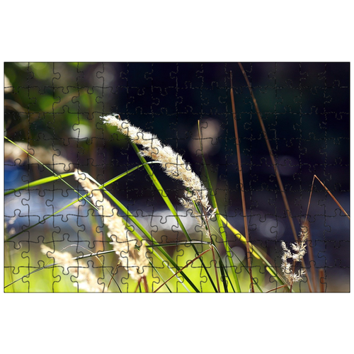 фото Магнитный пазл 27x18см."лезвие, травинки, трава" на холодильник lotsprints