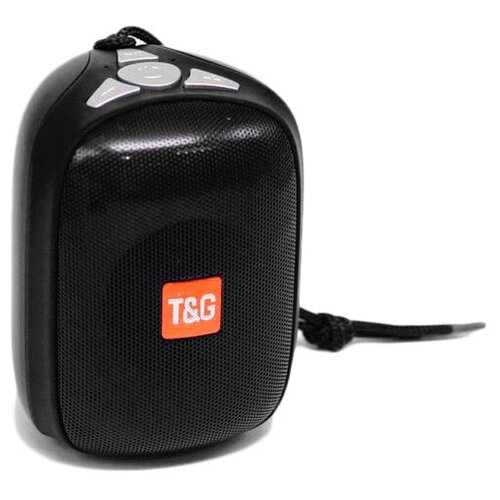 фото Колонка t&g tg-609 black t&amp;g