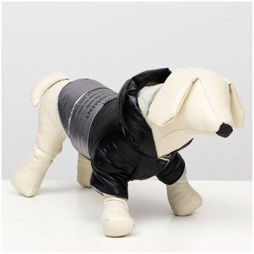 фото Куртка для собак "космонавт", размер xs (дс 17, ош 18-22 ог 27-32), чёрно- серебряная сима-ленд