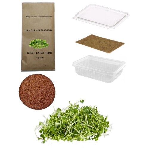 фото Микрозелень набор, семена микрозелени набор кресс-салат (темп)+1 коврик микрозелень зелёный росток