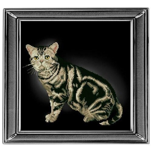 фото Набор для вышивания мулине краса и творчество арт.20912 американская короткошерстная кошка 28х28 см