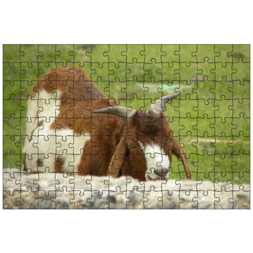 фото Магнитный пазл 27x18см."коза, рога, ребенок" на холодильник lotsprints