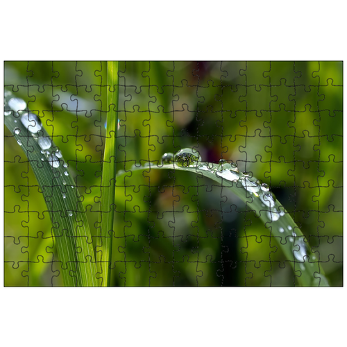 фото Магнитный пазл 27x18см."капать, трава, капли дождя" на холодильник lotsprints
