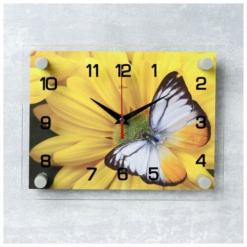 фото Часы настенные, серия: цветы, "бабочка на цветке", 20х26 см микс newstory