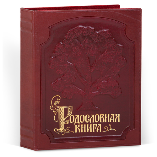 фото Родословная книга изысканная кож. облож. (подар. упак рк-010 knp-рк-010 центр родословия