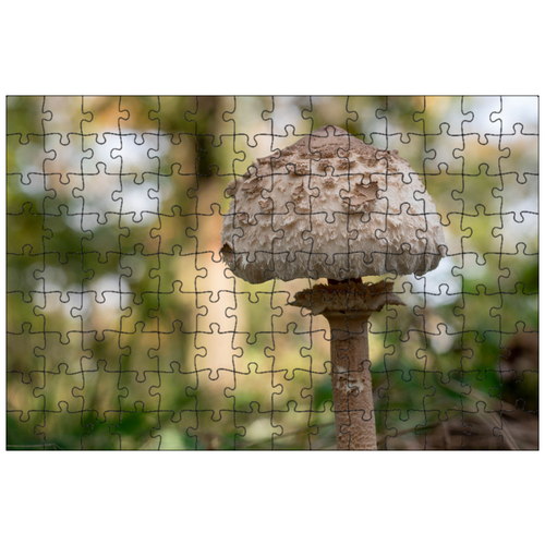 фото Магнитный пазл 27x18см."гриб, лезвие, деревья" на холодильник lotsprints