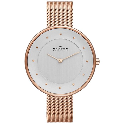 фото Наручные часы skagen skw2142