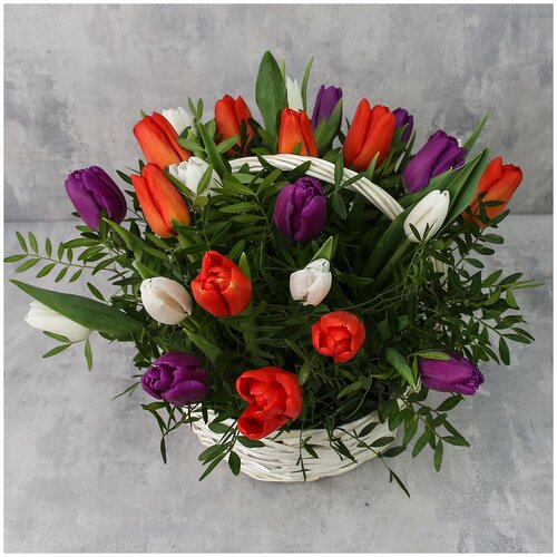 фото Корзина из 25 тюльпана «блики весны florpro