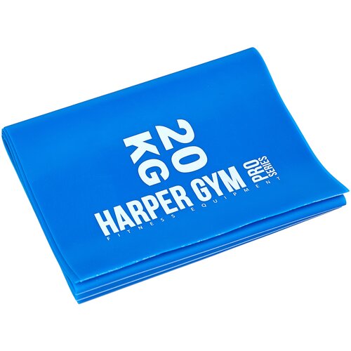 фото Эспандер harper gym nt18002 blue 356160