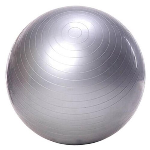 фото Фитбол, гимнастический мяч для занятий спортом, глянцевый, серебряный, 55 см icon