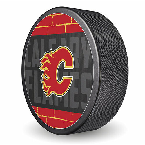 фото Шайба rubena nhl 2023 calgary flames
