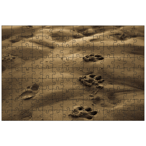 фото Магнитный пазл 27x18см."лапы печати, песочный пляж, щенок печати" на холодильник lotsprints
