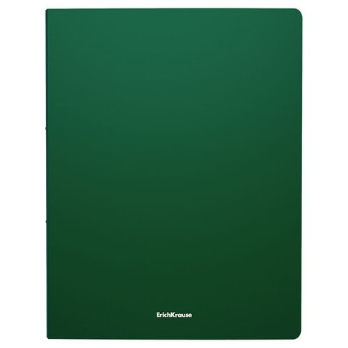 фото Папка с боковым зажимом пластиковая erichkrause matt classic, a4 зелёный 2штуки в комплекте