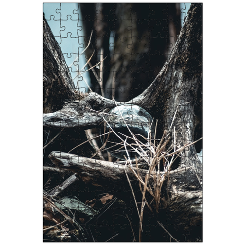 фото Магнитный пазл 27x18см."мяч объектив, хрустальный шар, стекло" на холодильник lotsprints