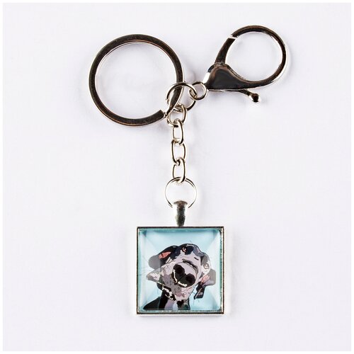 фото Брелок darifly серебристый с карабином, большим кольцом для ключей с цепью и квадратным рисунком "морда чёрно-белой собаки на голубом фоне