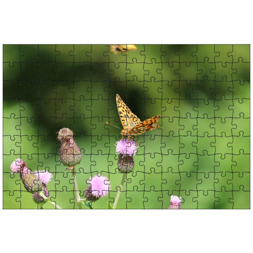 фото Магнитный пазл 27x18см."крыло, бабочка, насекомое" на холодильник lotsprints