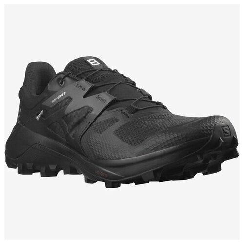 фото Кроссовки salomon wildcross 2 gtx (uk 7.5; eur 41 1/3; usa 8; 26 см)