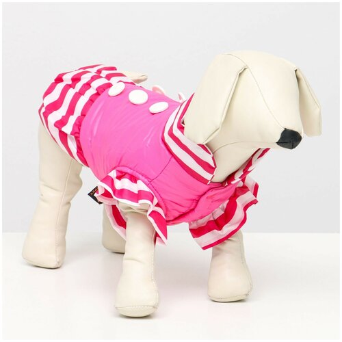 фото Куртка для собак с воланами, размер 6 (дс 43, ош 44, ог 60 см), розовая сима-ленд