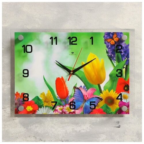 фото Часы настенные, серия: цветы, "бабочка и цветы", 25х35 см, микс рубин 1409258 .