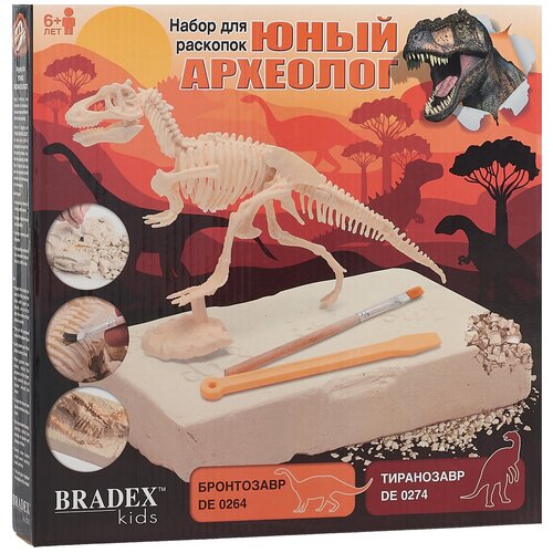 фото Юный археолог палеонтолог - набор для раскопок bradex
