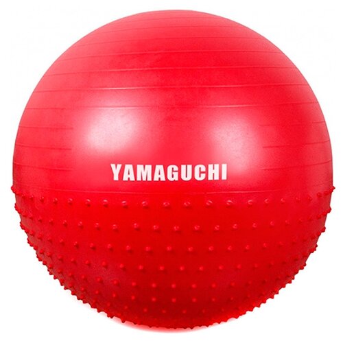 фото Мяч yamaguchi fit ball 65cm 2781