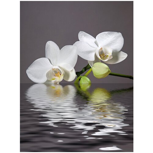 фото Фотообои цветы орхидея у воды/ красивые уютные обои на стену в интерьер комнаты/ 3д расширяющие пространство над кроватью или над столом/ на кухню в спальню детскую зал гостиную прихожую/ размер 200х270см/ флизелиновые топ фотообои