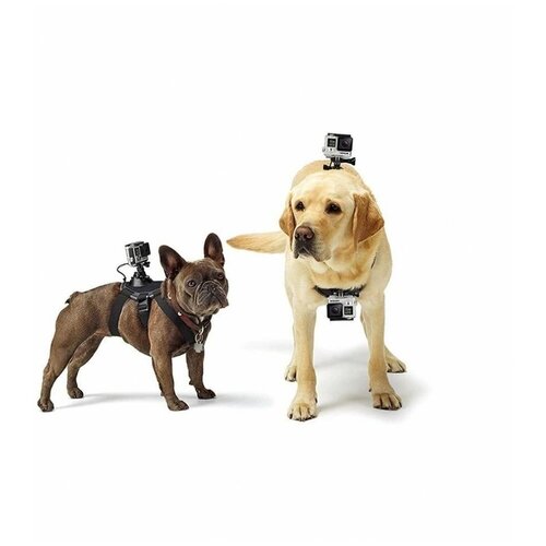 фото Крепление на собаку двойное kingma для gopro, dji, sjcam, insta360 и других экшн-камер
