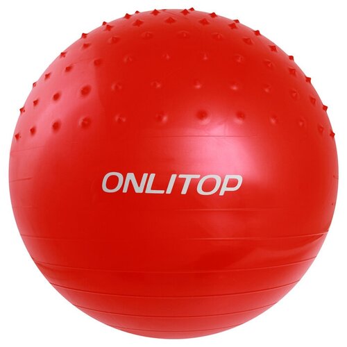 фото Мяч гимнастический массажный d=65 см, 1000 г, цвета микс onlitop
