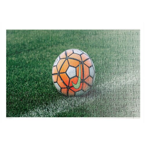 фото Пазлы coolpodarok футбол футбольный мяч найк оранжевый трава 26х38см 252 элемента