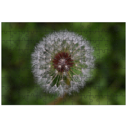 фото Магнитный пазл 27x18см."сорняк, цветок, дождевик" на холодильник lotsprints