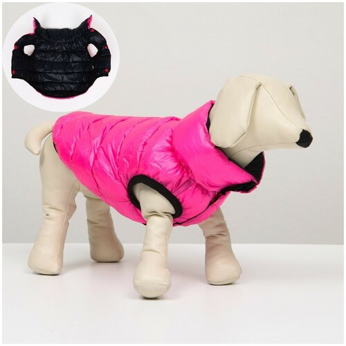 фото Куртка для собак двухсторонняя с воротником, s30 сима-ленд